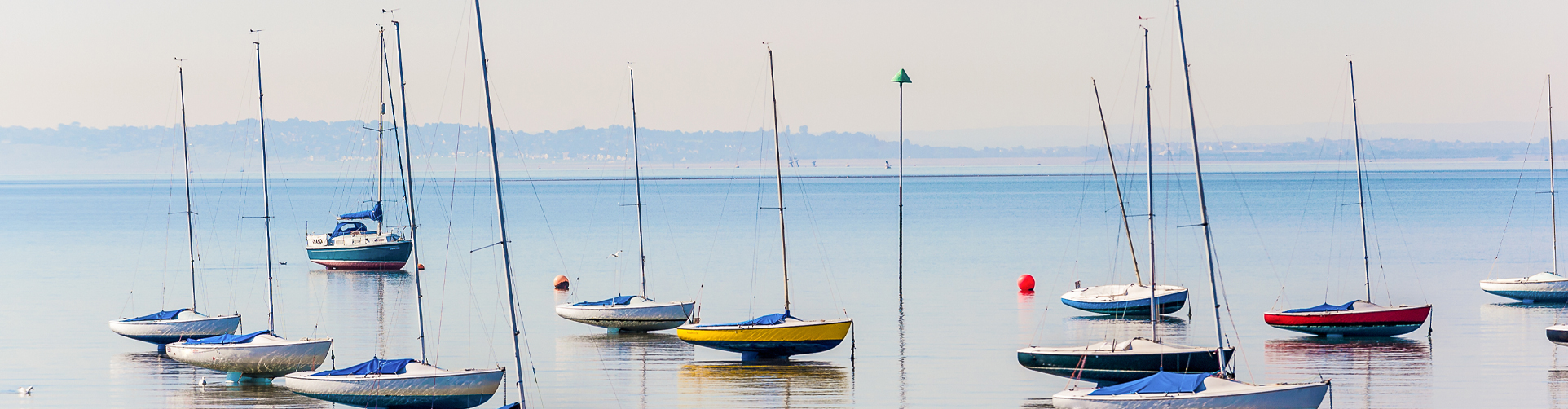 A fleet of small sailboats floats on a calm body of water with land visible in the distance