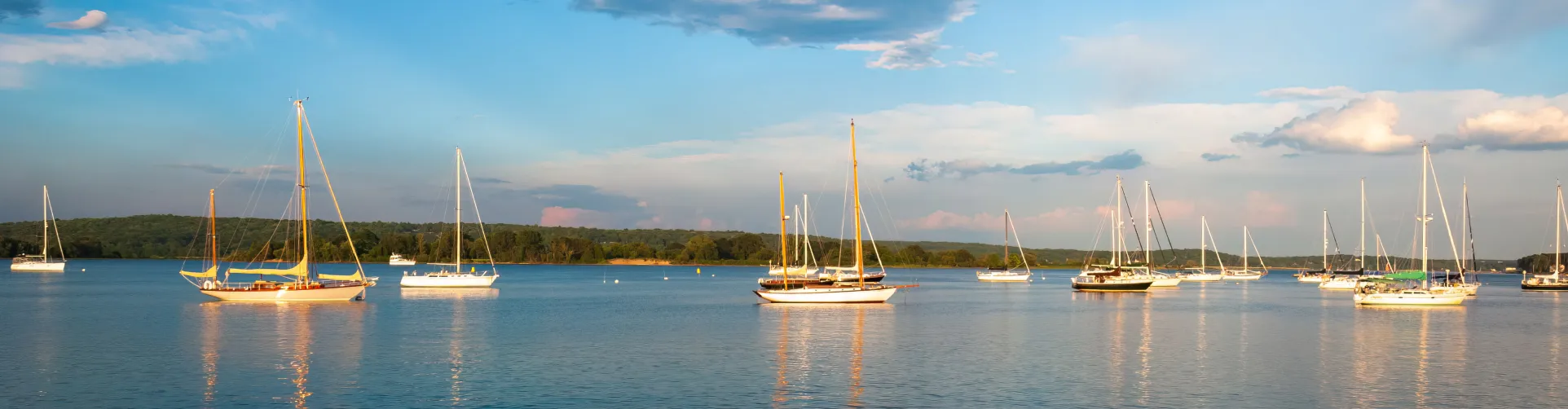 Sailboats are anchored on water under a partly cloudy sky a tree-lined shore is in the background